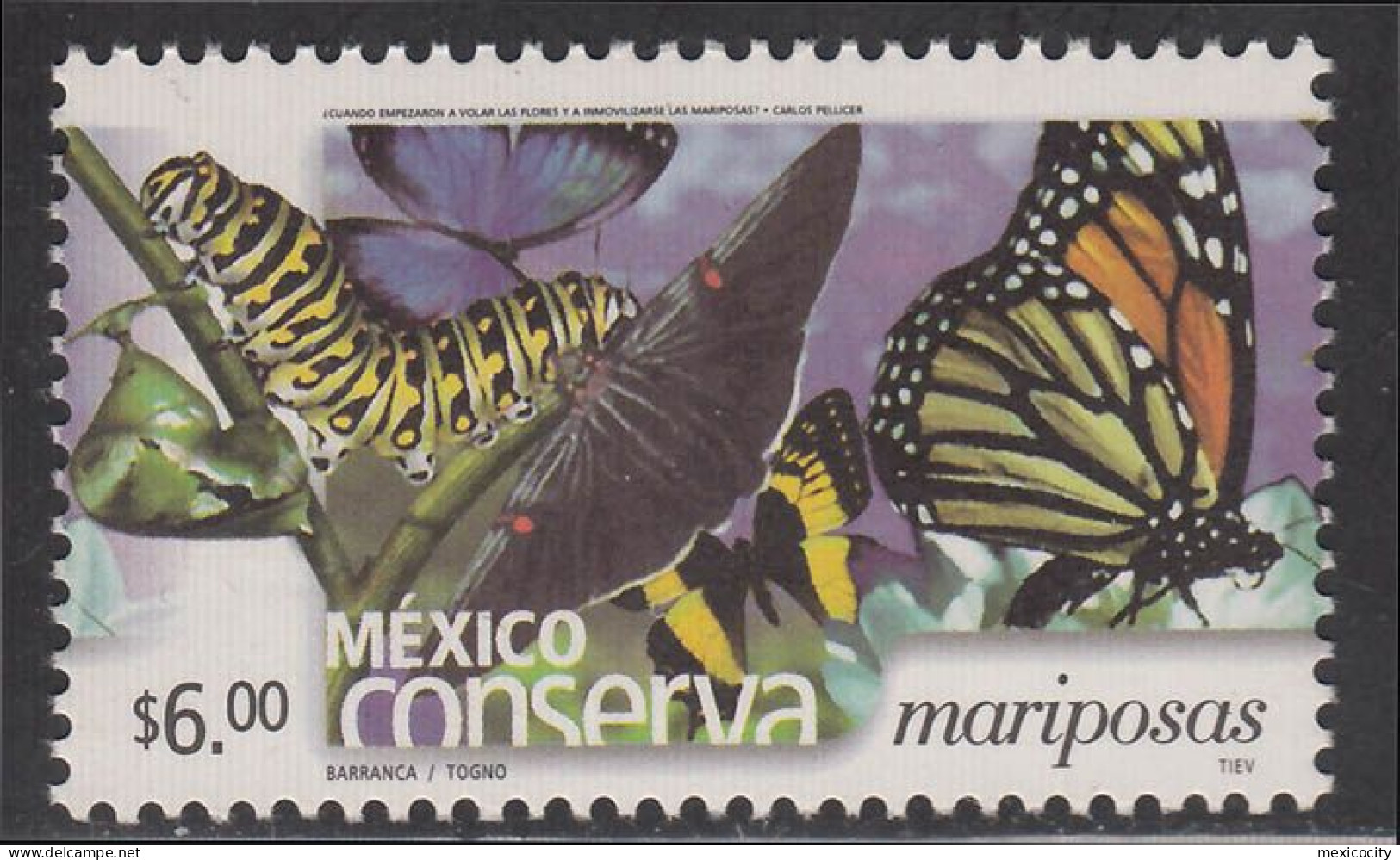 MEXICO 2003 $6 BUTTERFLIES Ptg. Perf. 14 On Thick Paper, MNH, Nice Bargain Priced - Mexico