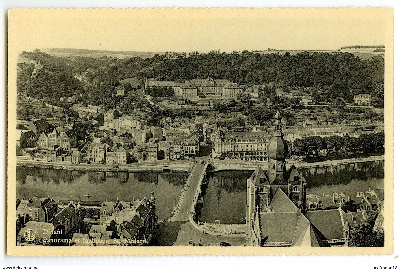 Dinant - Panorama Et Faubourg St. Médard - Dinant