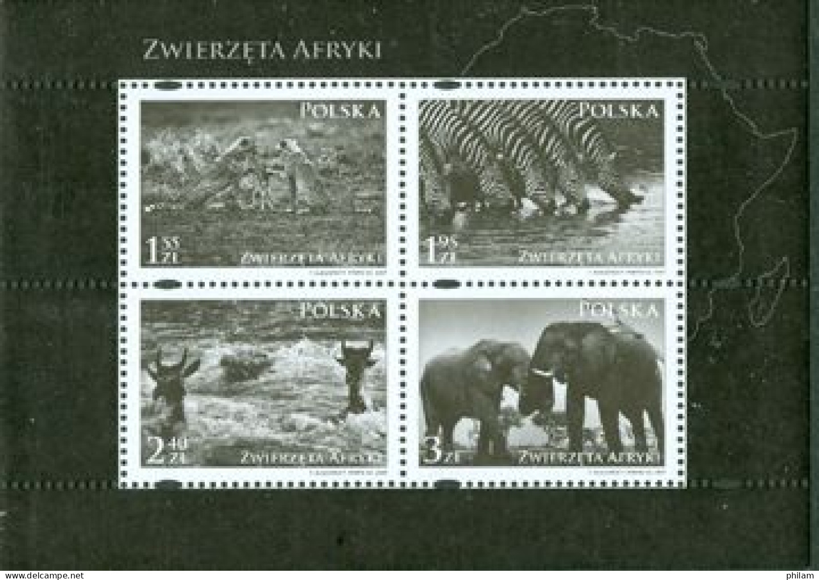 POLOGNE 2009 - Terre D'Afrique - Animaux - Photographies - BF - Elefanten