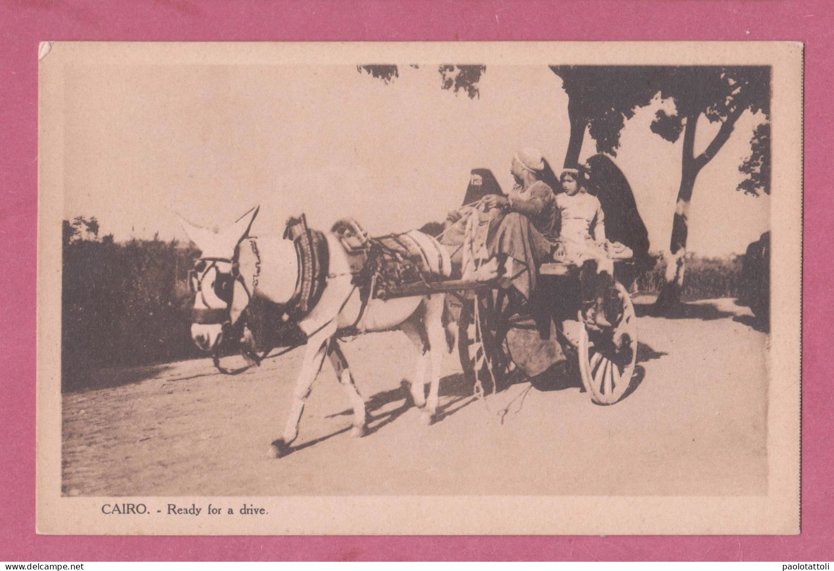 Egypt, Le Caire, En Route Por La Promenade. Ready For A Drive- Transportation Cart Pulled By Donkey- - Altri & Non Classificati