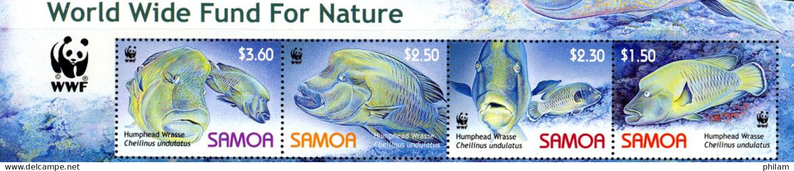 SAMOA - 2006 - W.W.F. - Humphead Wrasse - 4 V. - Nuovi