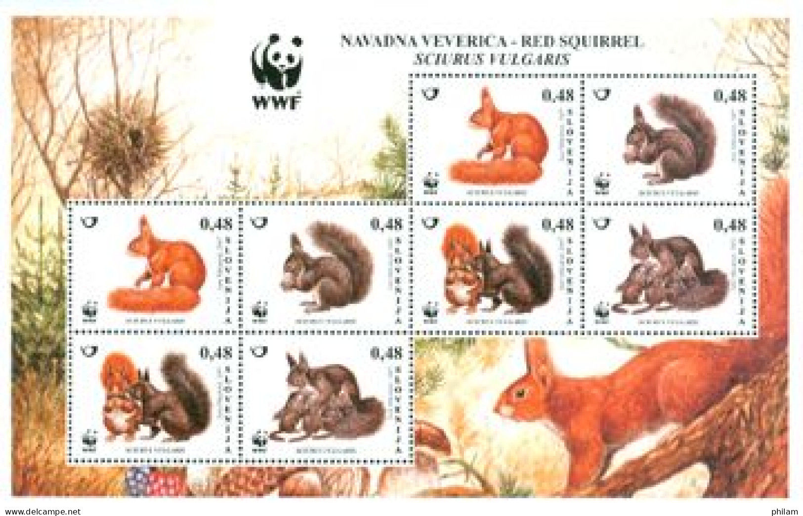 SLOVENIE 2007 - W.W.F. - L'écureuil Rouge (papier Fond Blanc) - Bloc De 2 X 4 - Unused Stamps