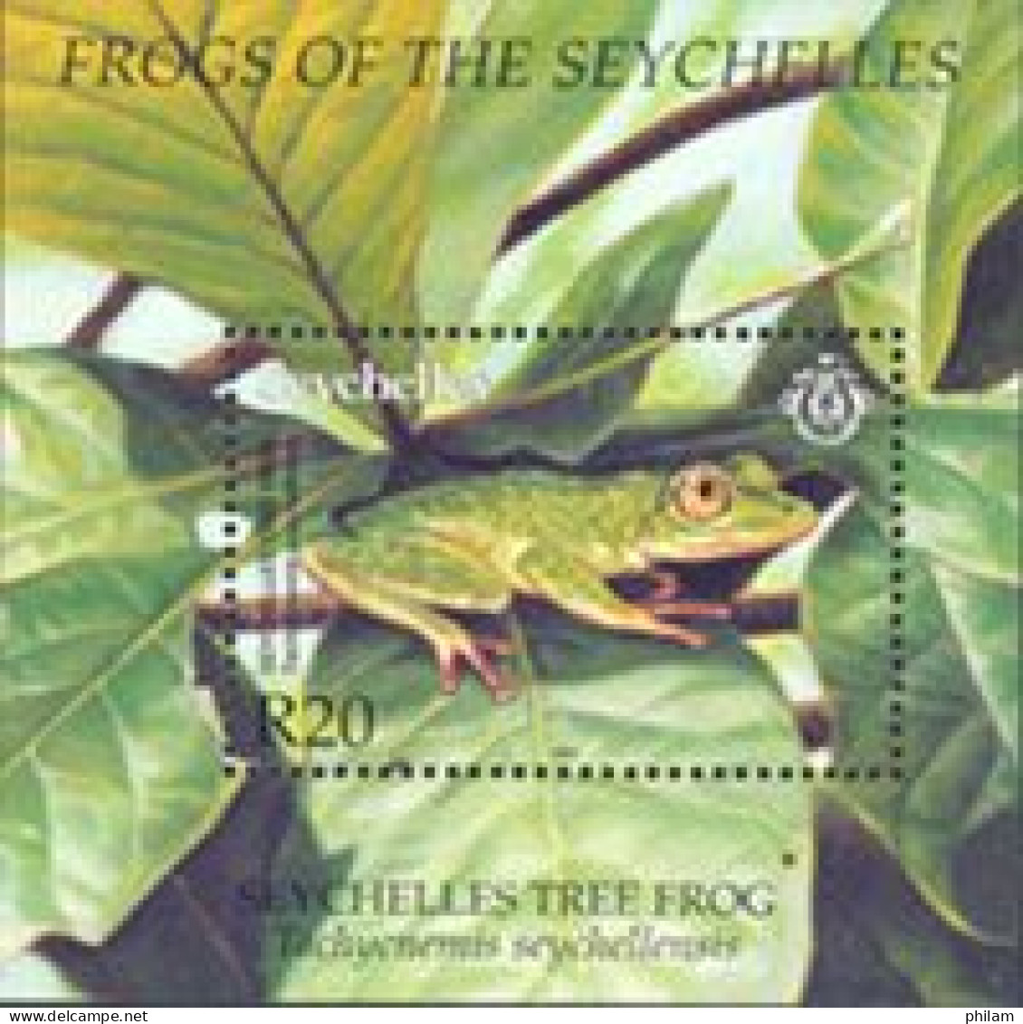 SEYCHELLES 2003  -  Grenouilles - BF - Frogs