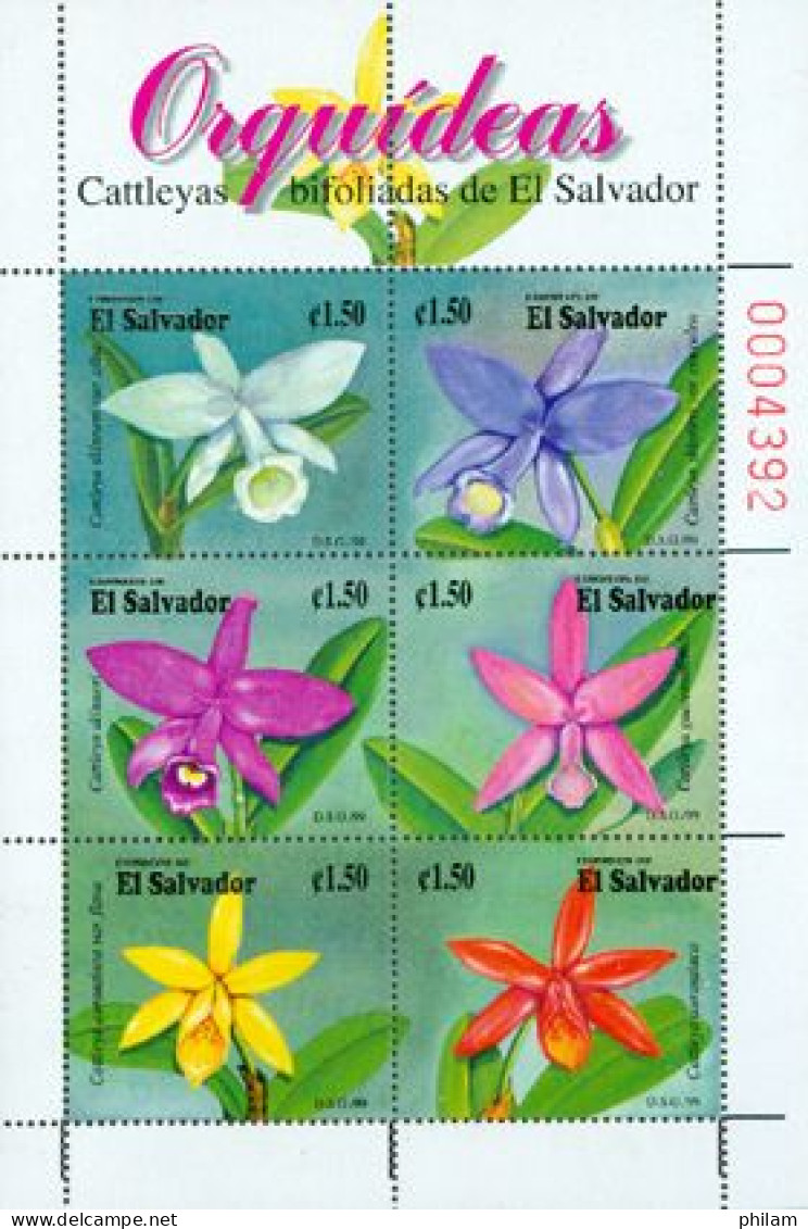 SALVADOR 1999 - Orchidées Cattleyas - En Feuillet - Orchids