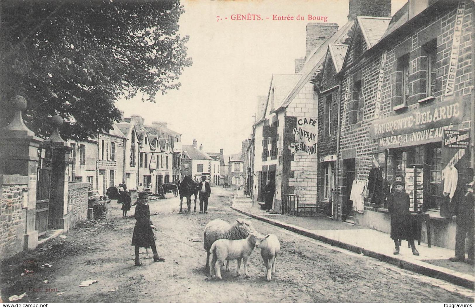 50 GENETS ENTREE BOURG - MOUTONS - 1183 - Autres & Non Classés