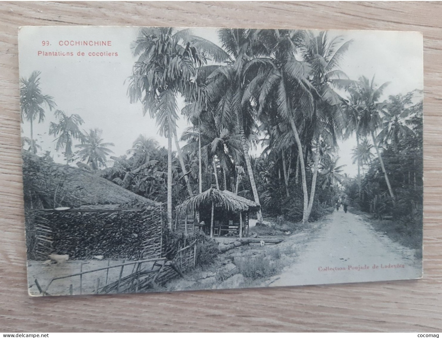 VIET-NAM INDOCHINE COCHINCHINE  SAIGON PLANTATIONS DE COCOTIERS ENVOYEE DE GIANDINH - Viêt-Nam