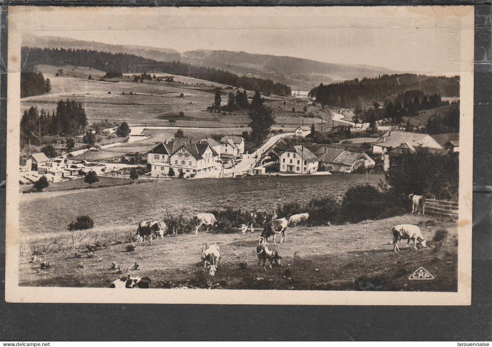 25 - OYE ET PALLET - Vue Générale - Riant Séjour Et Le Lac De  Saint Point - Andere & Zonder Classificatie