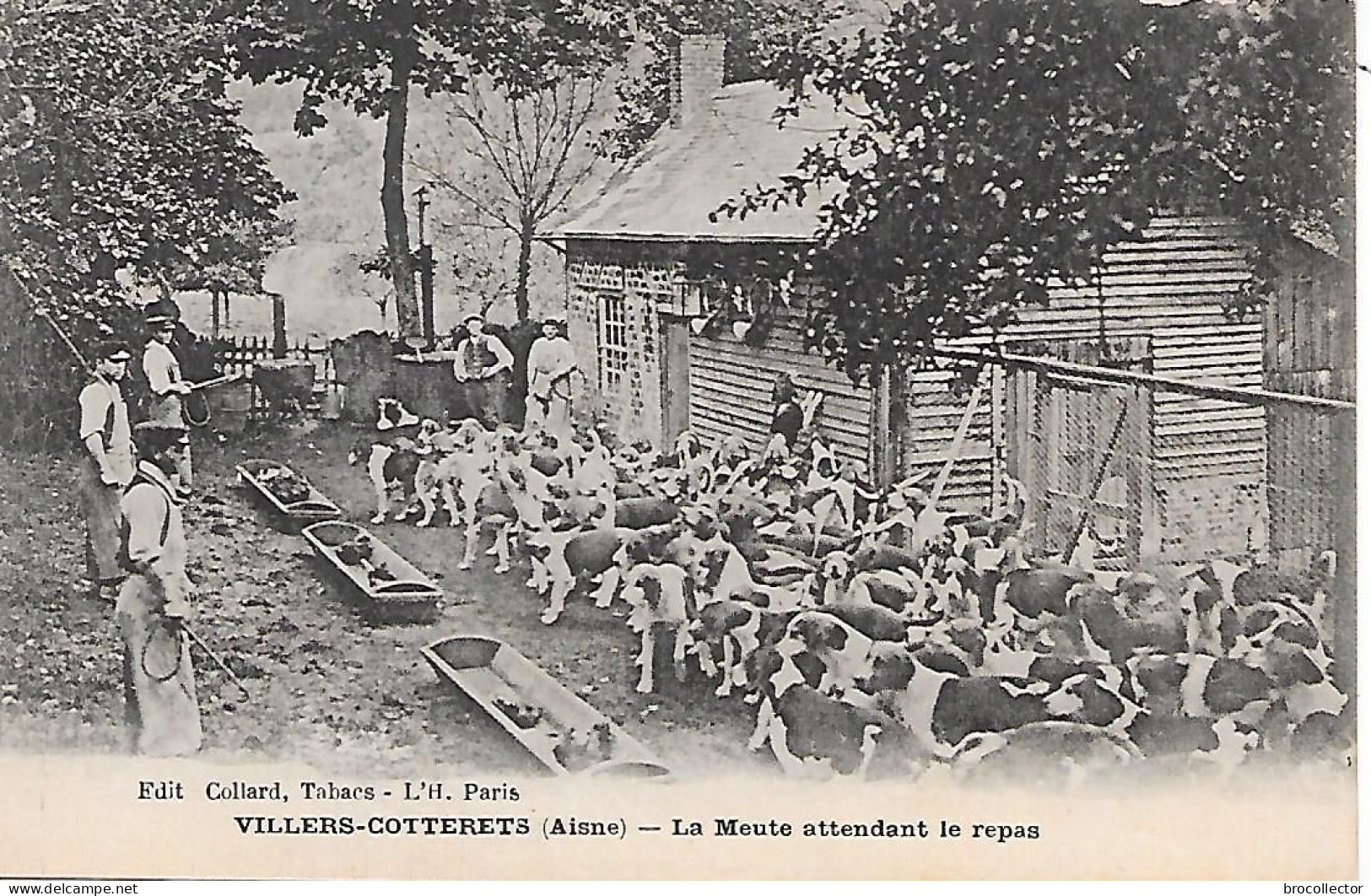 VILLERS COTTERETS ( 02 ) - La Meute Attendant Le Repas - Villers Cotterets