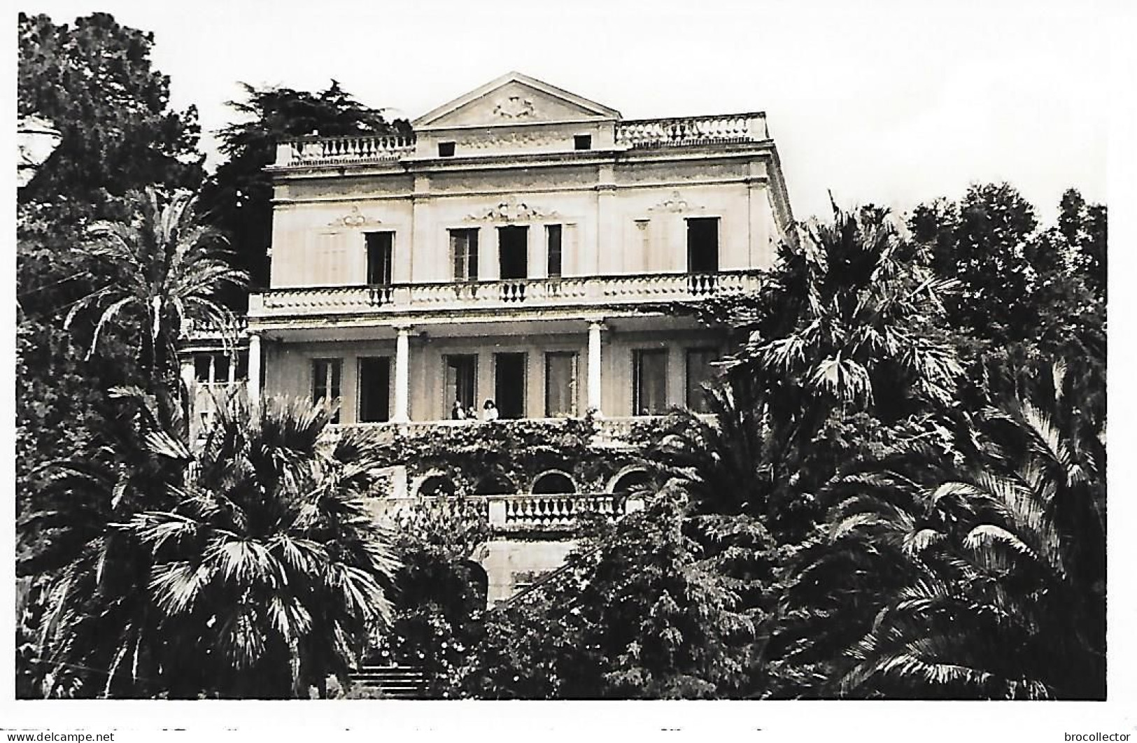 CANNES ( 06 ) - Villa Excelsior, Avenue De Californie ( C.P.S.M. , Pt - Ft ) - Cannes