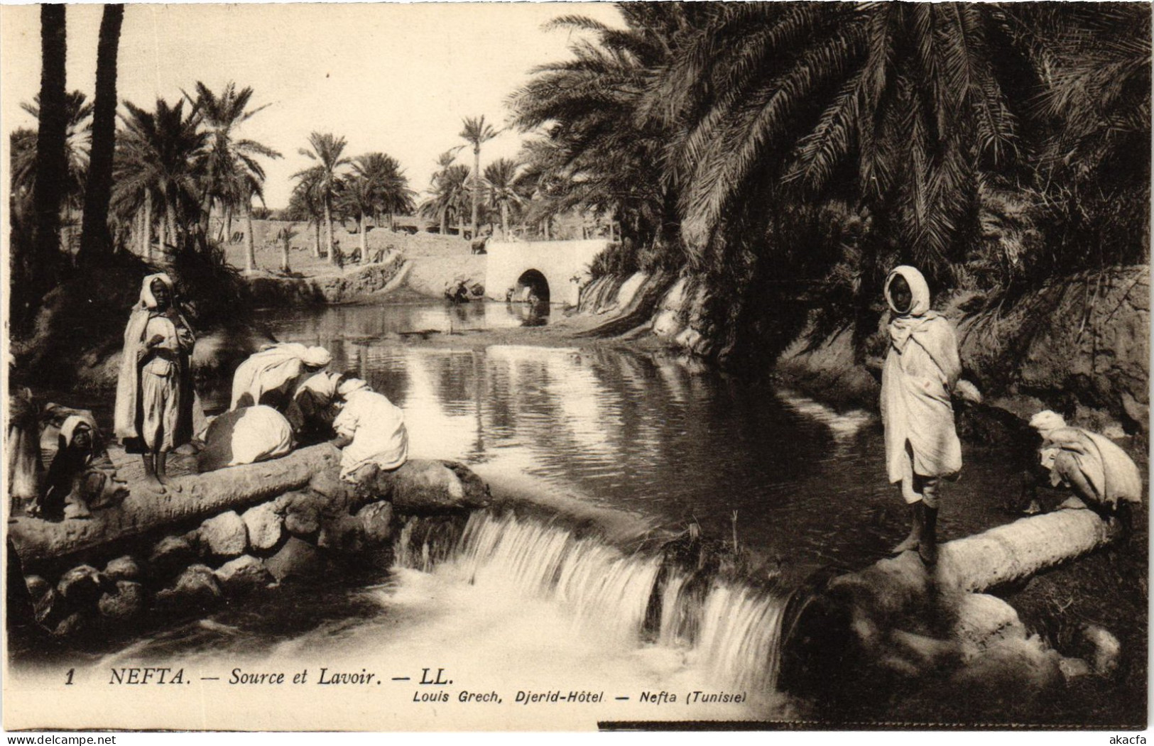 CPA AK Nefta Source Et Lavoir TUNISIA (1405157) - Tunisie