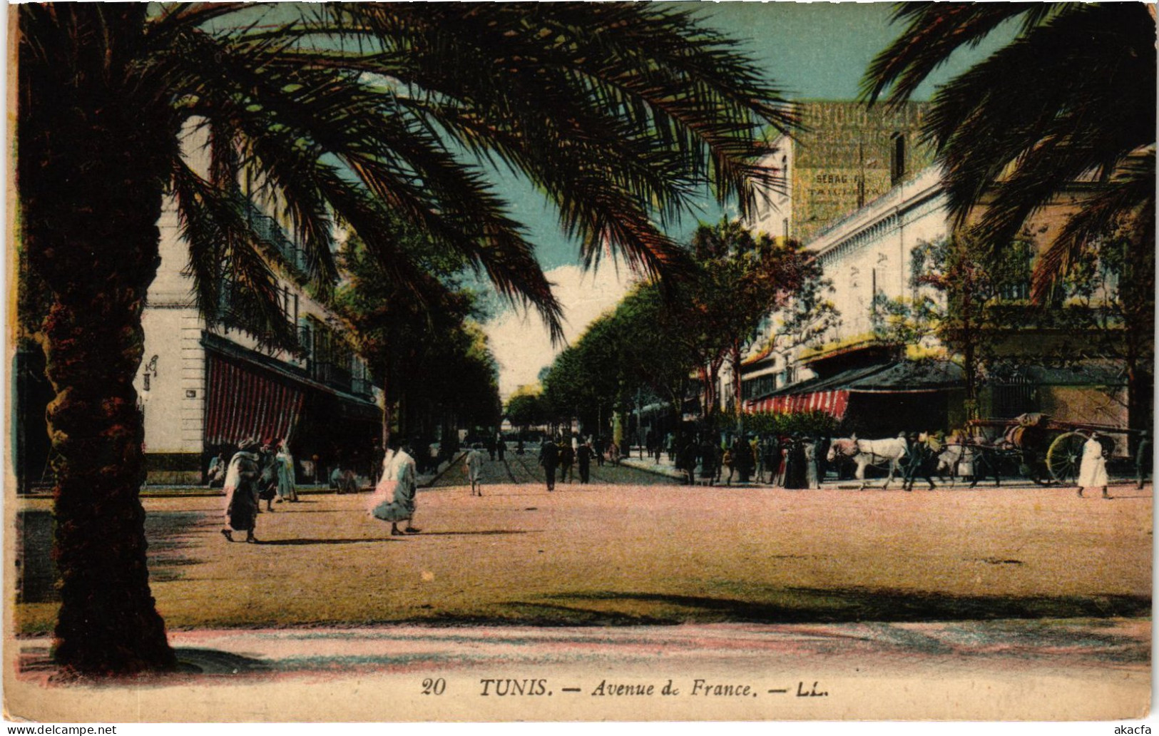 CPA AK Tunis Avenue De France TUNISIA (1405017) - Tunisia