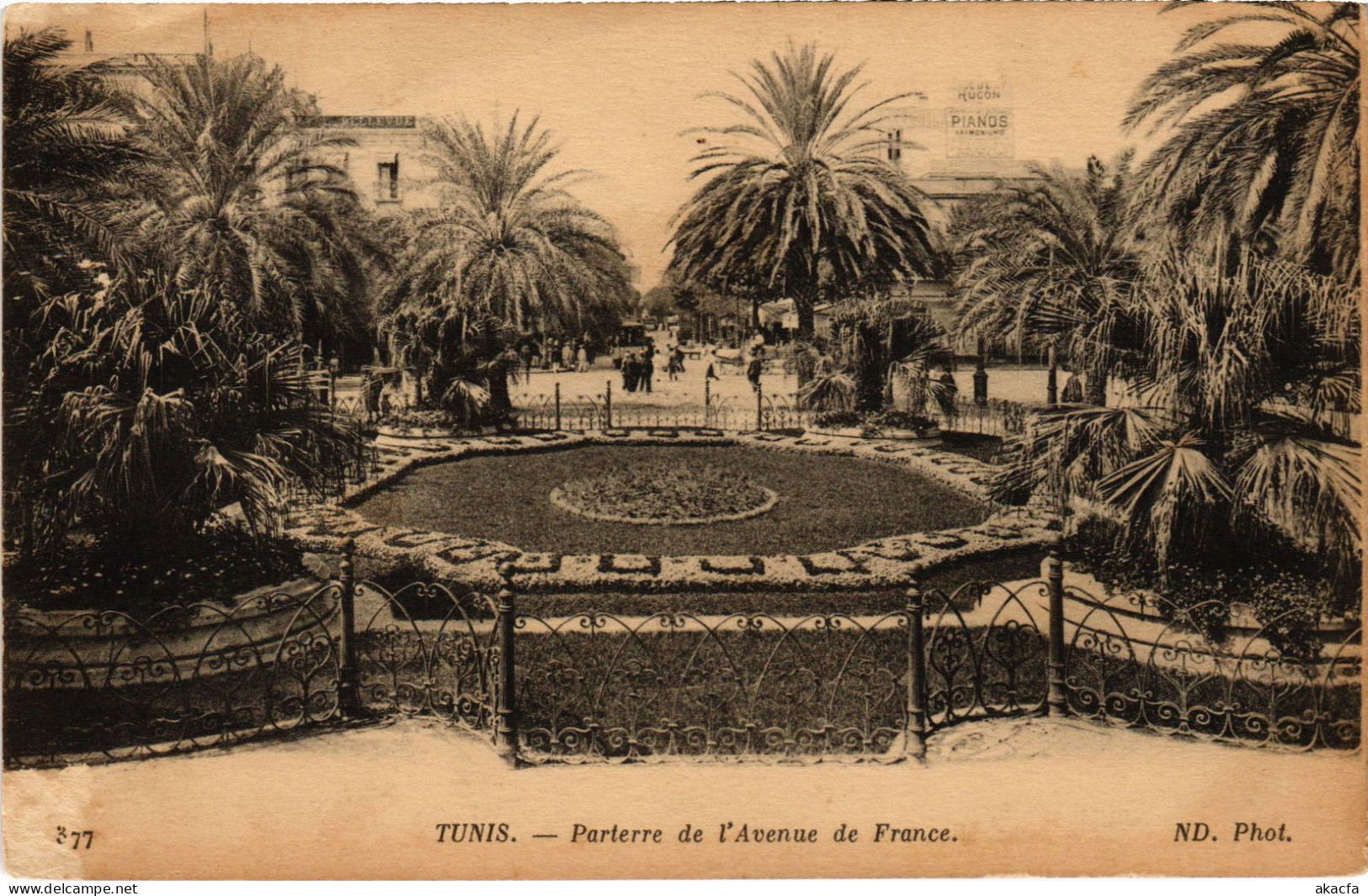 CPA AK Tunis Parterre De L'Avenue De France TUNISIA (1404982) - Tunisia