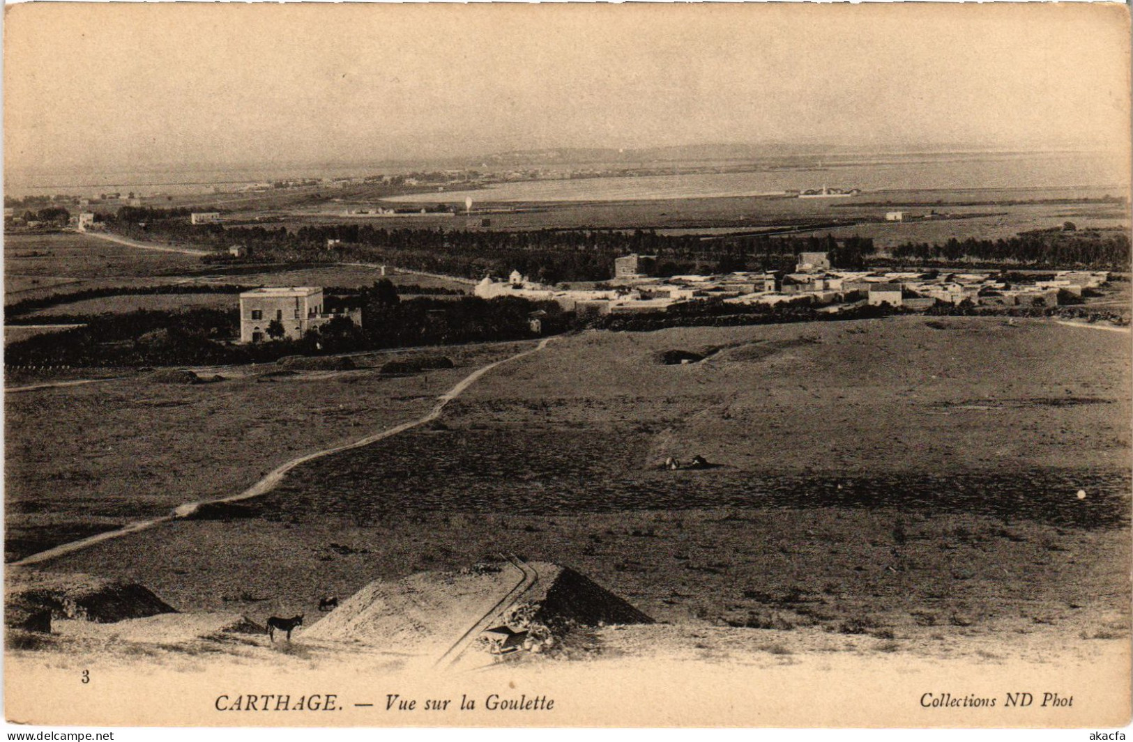 CPA AK Carthage Vue Sur La Goulette TUNISIA (1404839) - Túnez