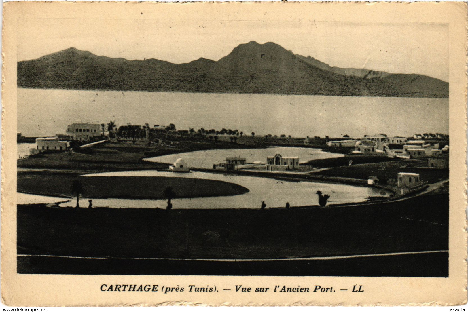 CPA AK Carthage Vue Sur L'Ancien Port TUNISIA (1404834) - Túnez