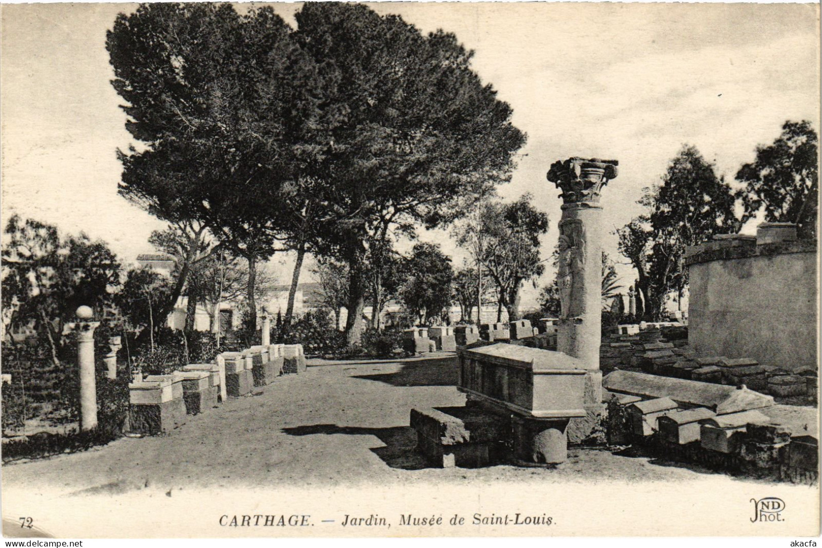 CPA AK Carthage Jardin, Musee St Louis TUNISIA (1405387) - Tunesien