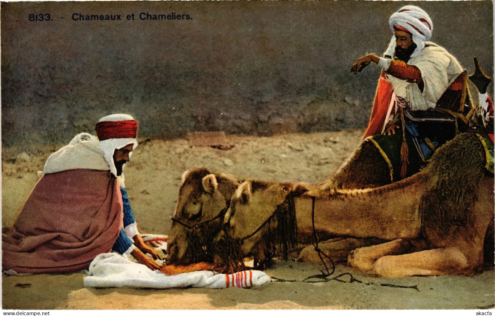 CPA AK Chameaux Et Chameliers TUNISIA (1405343) - Tunisia