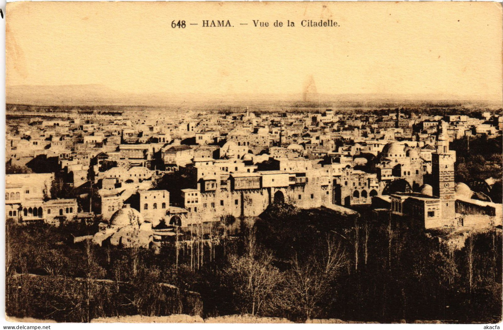 CPA AK Hama Vue De La Citadelle SYRIA (1404071) - Syria