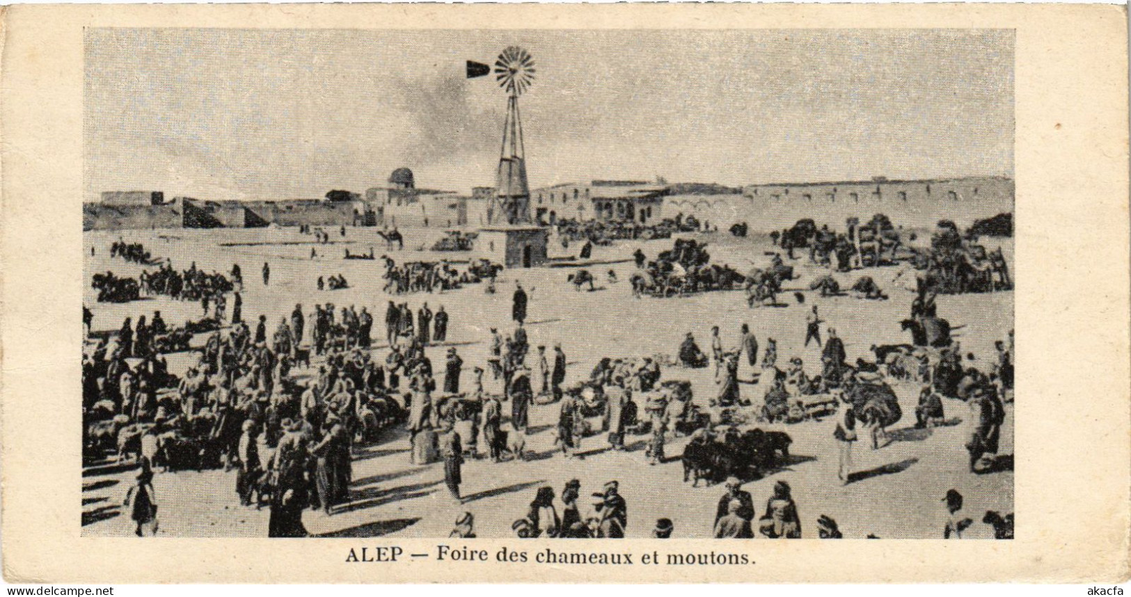 CPA AK Aleppo Foire Des Chameaux Et Moutons SYRIA (1403983) - Syria