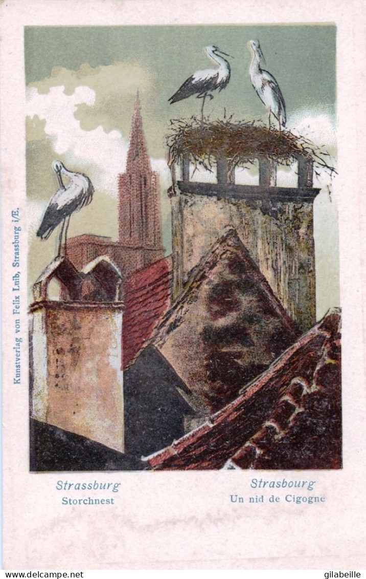 67 - Bas Rhin - STRASBOURG - STRASSBURG - Un Nid De Cigogne - Storchnest - Illustrateur - Straatsburg