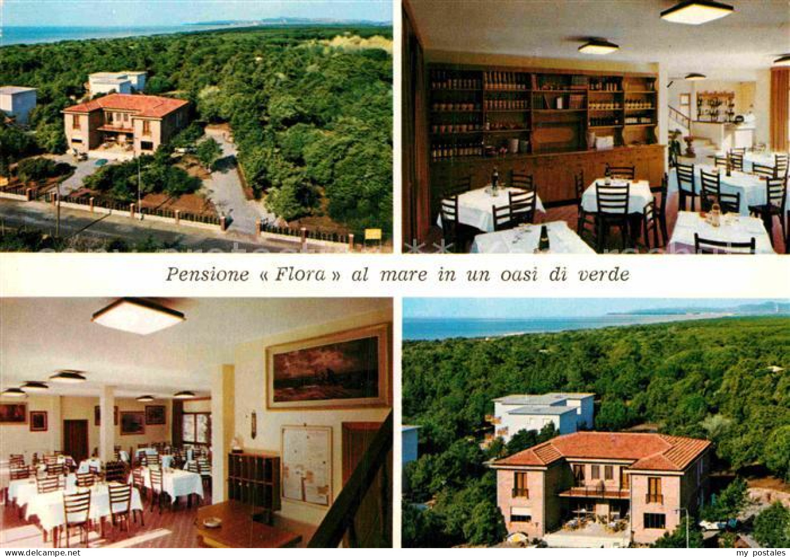 72898159 Marina Di Bibbona Pension Restaurant Flora Livorno - Autres & Non Classés