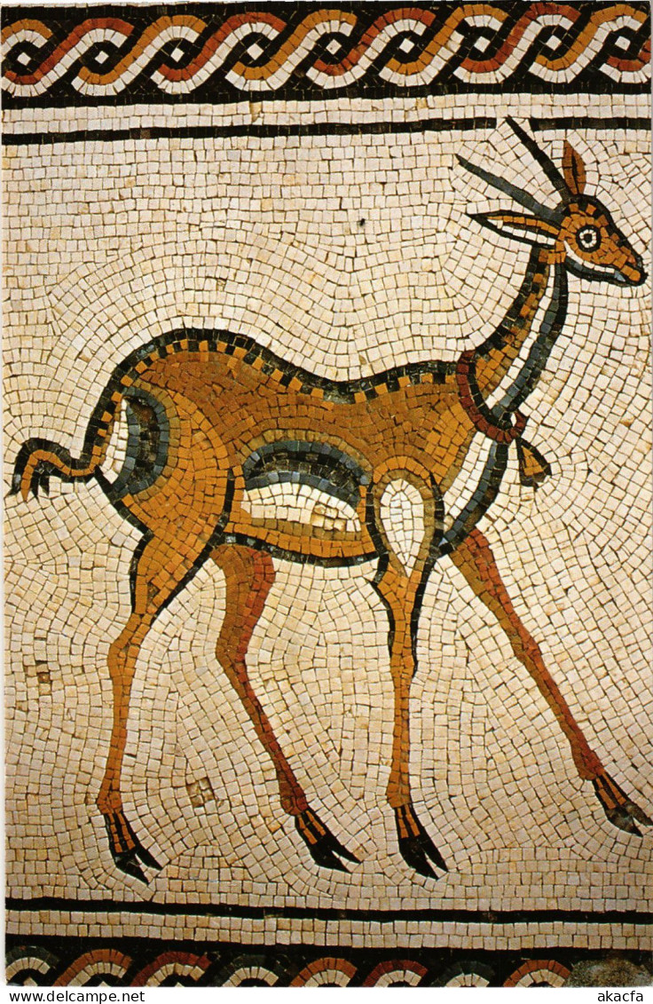 CPM AK Mt Nebo, The Gazelle SYRIA (1404420) - Syrië