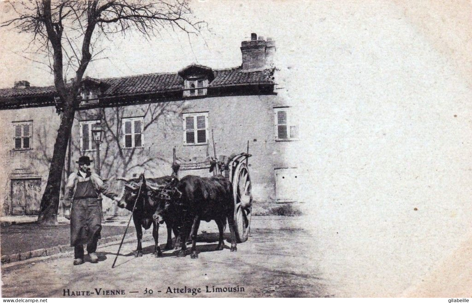 87 - Haute Vienne - Paysan Et Son Attelage Limousin - 1901 - Andere & Zonder Classificatie