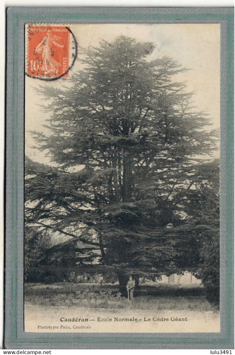 CPA - (33) CAUDERAN - Thème: ARBRE - Aspect Du Cèdre Géant En 1912 - Other & Unclassified