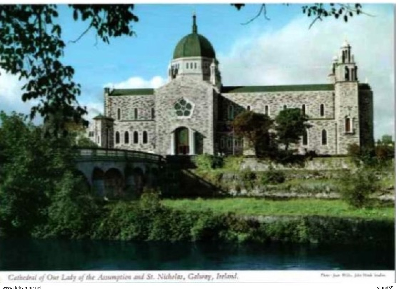 Cathedral Of Our Lady Of The Assumption And St Nicholas. - Galway