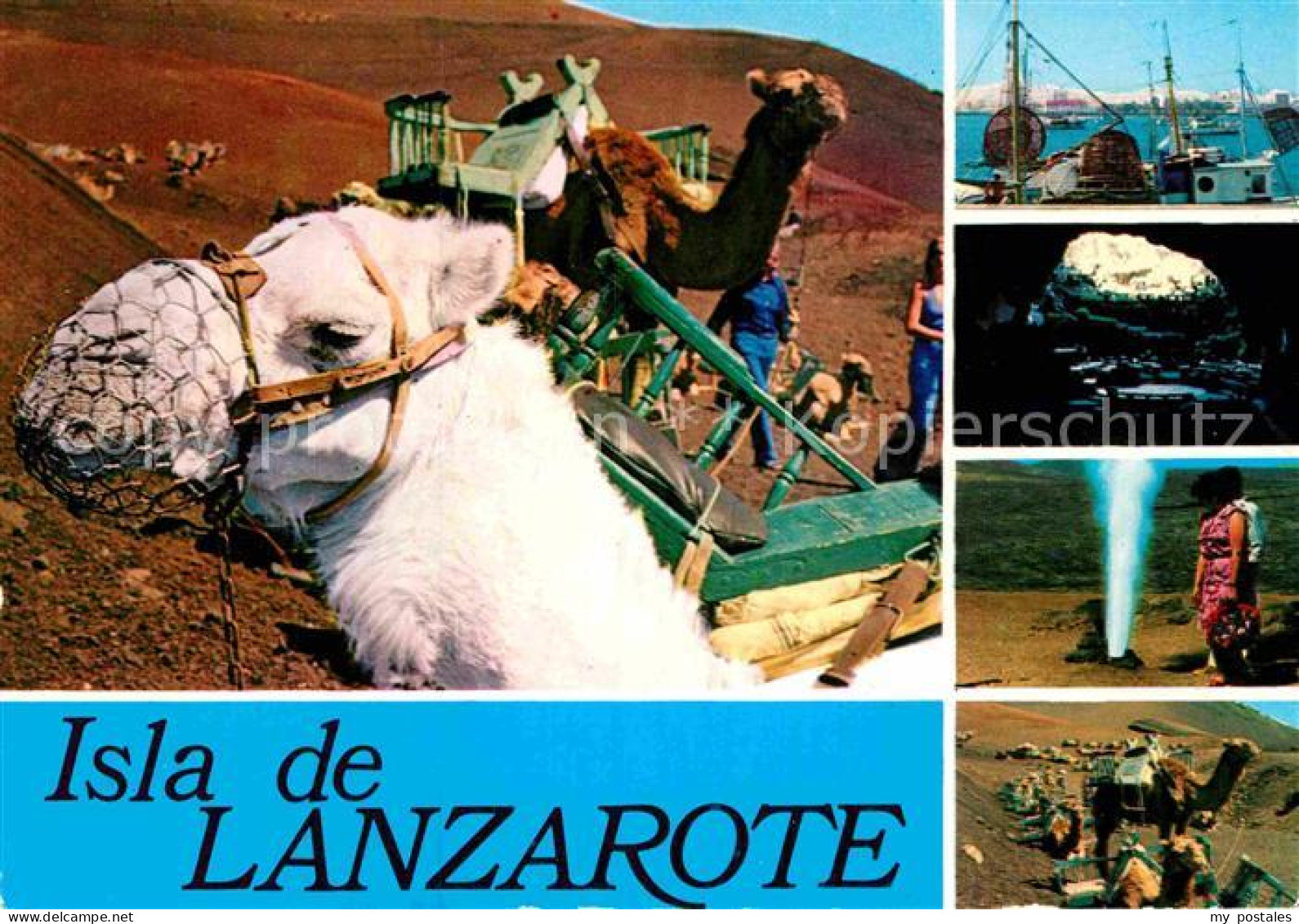 72897294 Lanzarote Kanarische Inseln Kamele Hafenpartie Grotte Lanzarote - Other & Unclassified