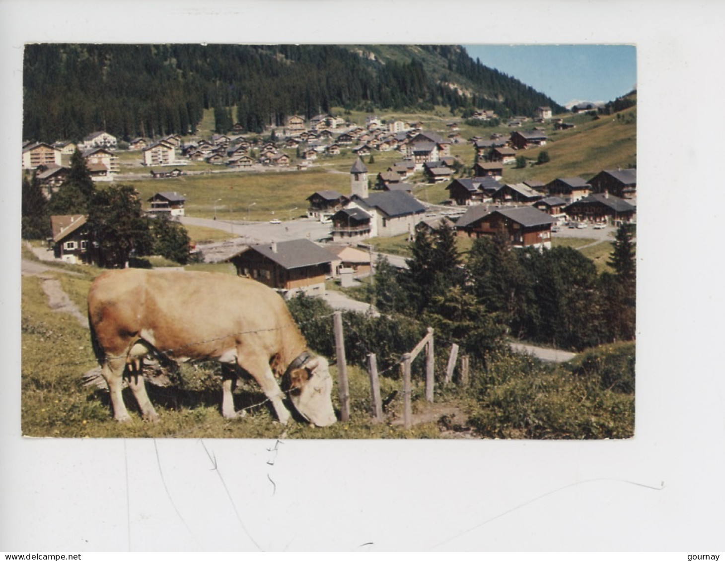 Suisse : Morgins, Vue Générale (paturage Vache) Cp N°5 Jaeger - Sonstige & Ohne Zuordnung