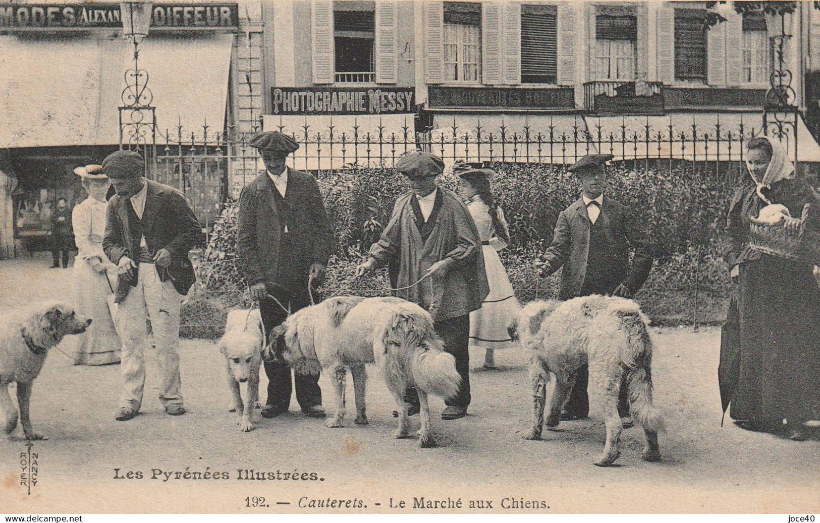 Cauterets - Le Marché Aux Chiens - Photographie MESSY - ALEXANDRE Coiffeur - Andere & Zonder Classificatie