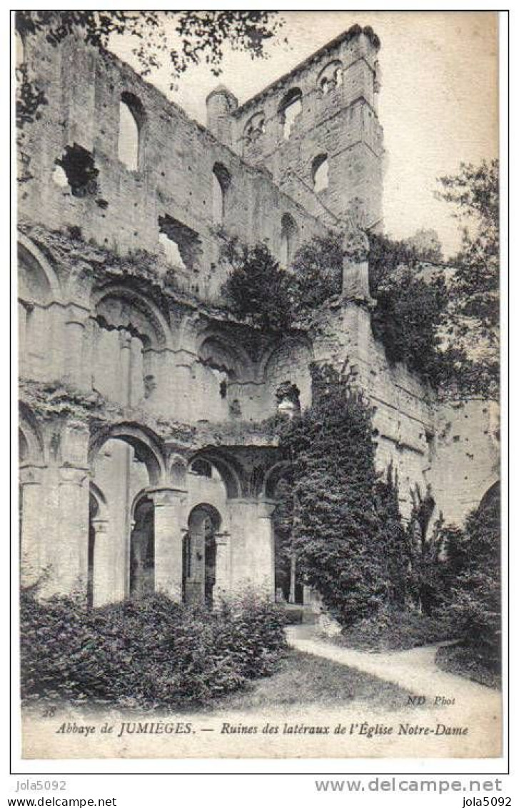 76 - JUMIEGES - Ruine Des Latéraux De L'Eglise Notre-Dame - Jumieges