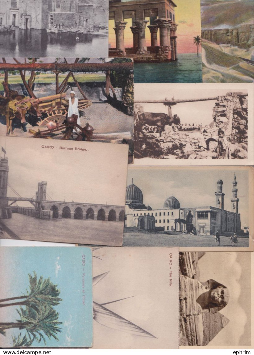 Egypte Le Caire Cairo Egypt Suez Assouan Alexandria Gizeh Lot de 88 Cartes Postales Anciennes Vintage Picture Postcard