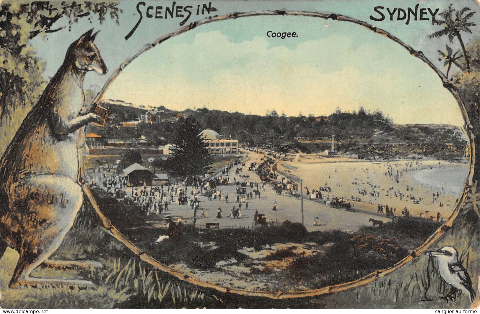 CPA AUSTRALIE / SCENES IN SYDNEY / COOGEE / KANGOUROU - Altri & Non Classificati