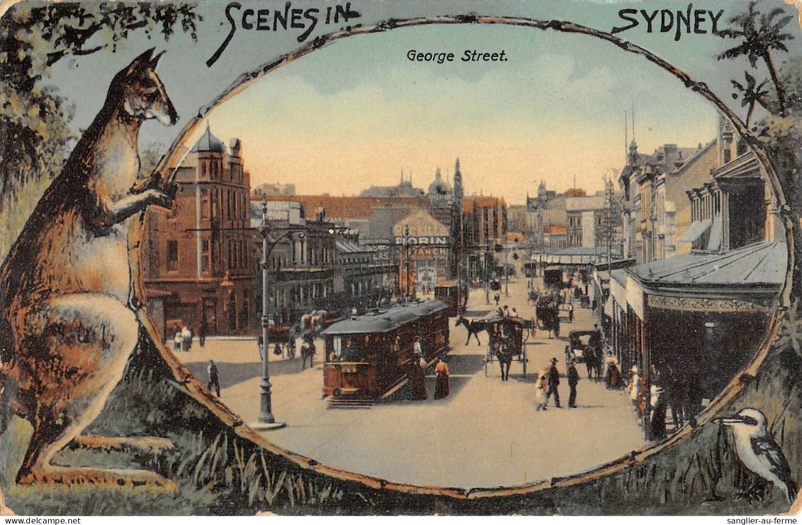 CPA AUSTRALIE / SCENES IN SYDNEY / GEORGE STREET / KANGOUROU - Other & Unclassified