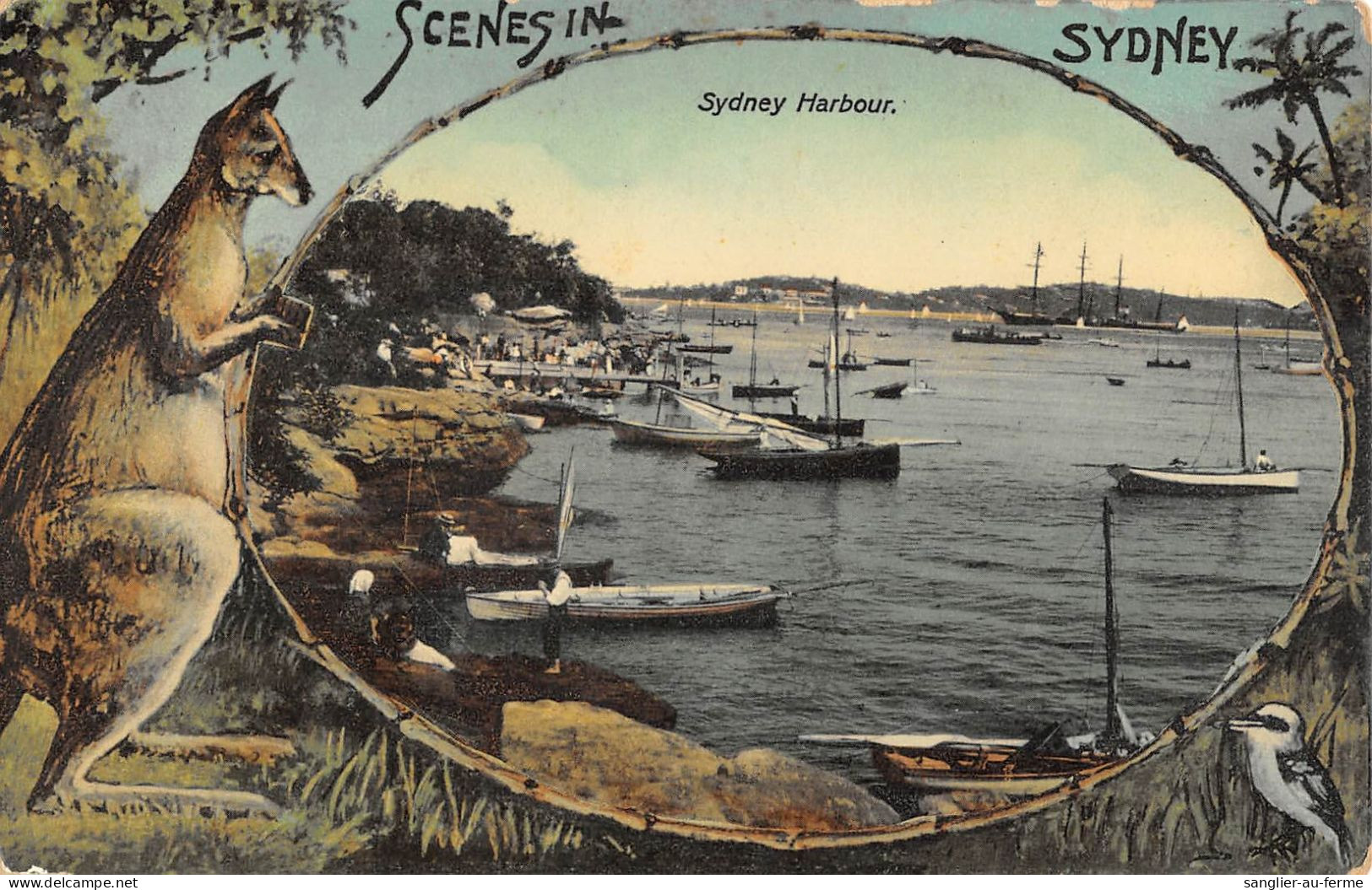 CPA AUSTRALIE / SCENES IN SYDNEY / SYDNEY HARBOUR / KANGOUROU - Altri & Non Classificati