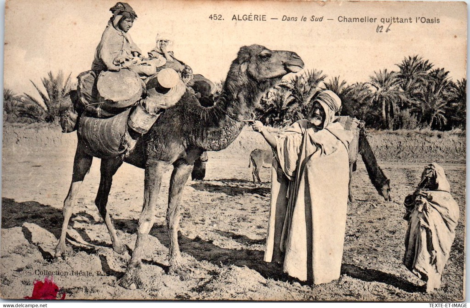 ALGERIE - Chamelier Quittant D'oasis  - Autres & Non Classés