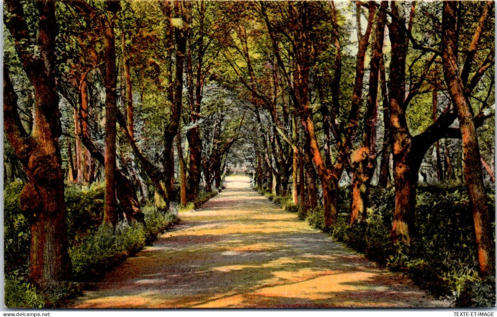 RUSSIE - TZARSKOE SELO - Allée Du Palais D'ékaterine  - Russia