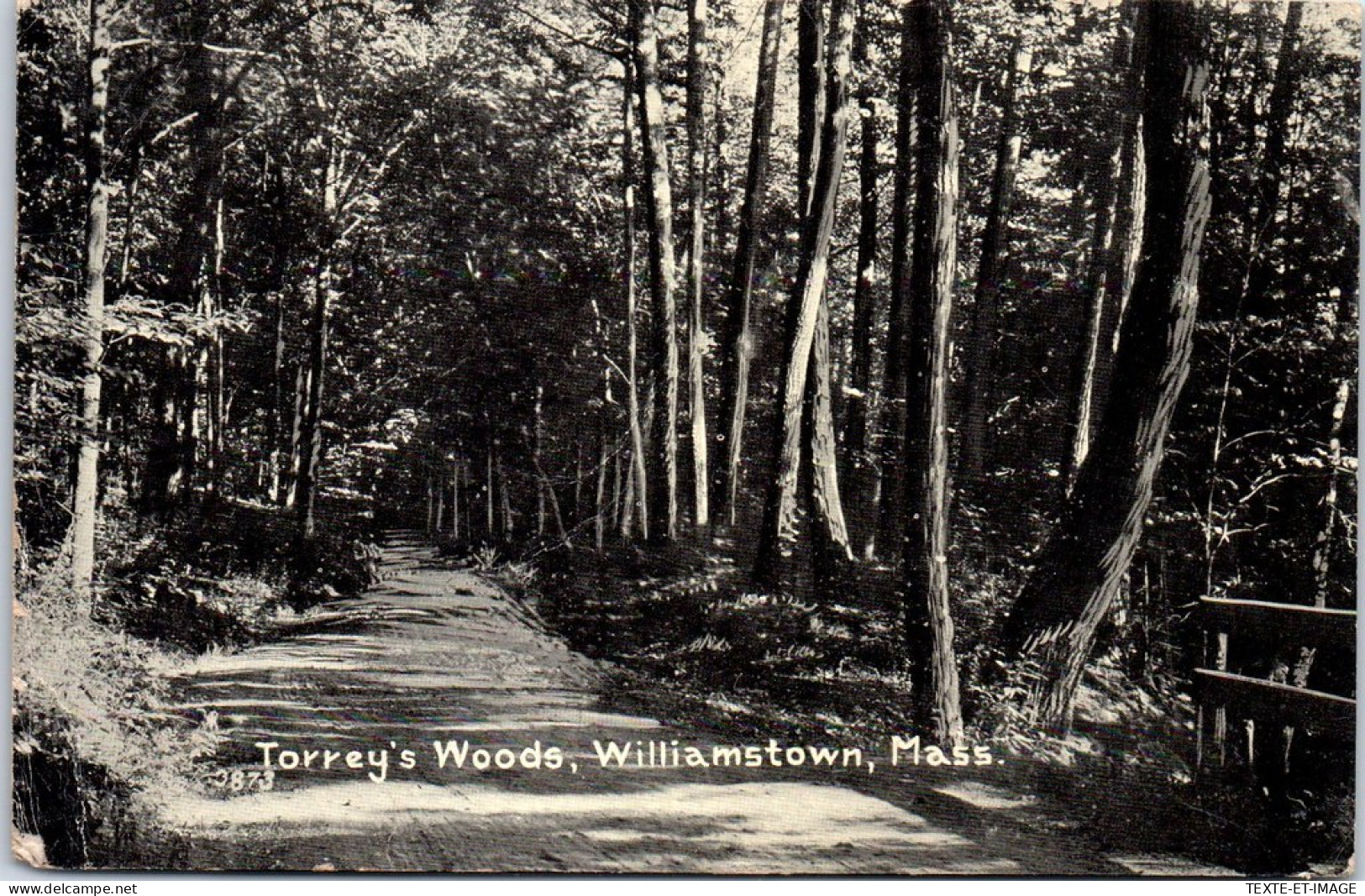 ETATS UNIS - Torrey's Woods Williamstown, Mass - Andere & Zonder Classificatie