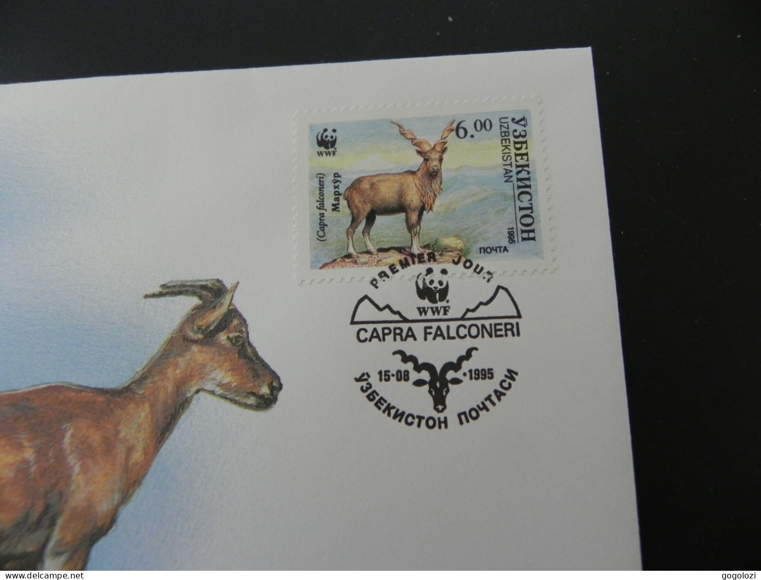 Uzbekistan  WWF Markhor 1986 - Numis Letter - Ouzbékistan