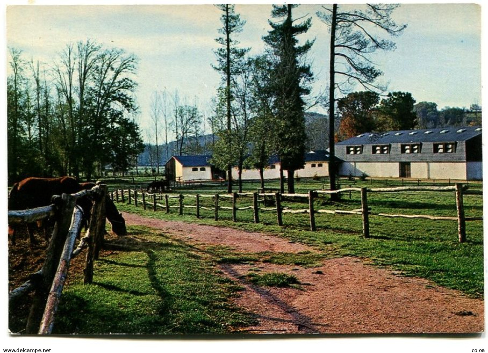 Château D'Aynac Ecuries Et Manège Classes Vertes Avec équitation - Other & Unclassified