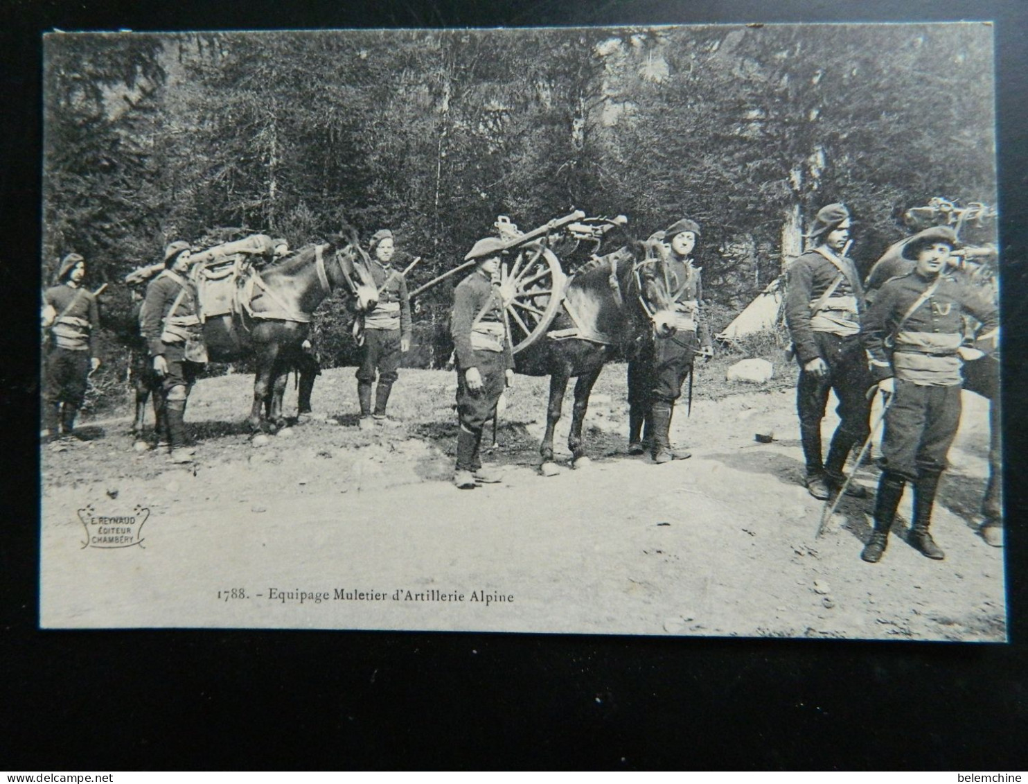 EQUIPAGE MULETIER D'ARTILLERIE ALPINE - Régiments