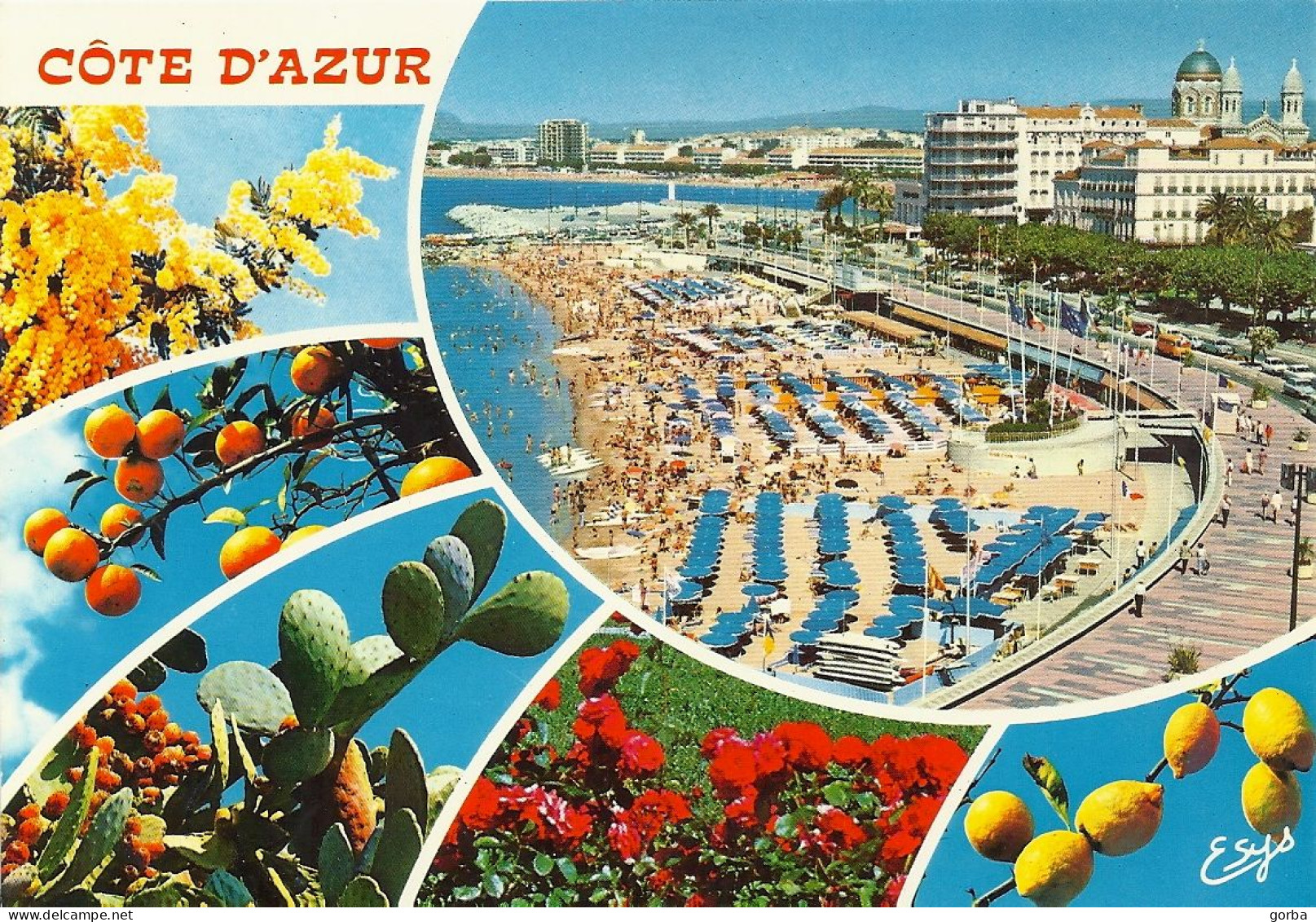 *CPM - 83 - SAINT RAPHAËL - Vue Générale, La Terrasse Des Bains Et La Plage - Saint-Raphaël