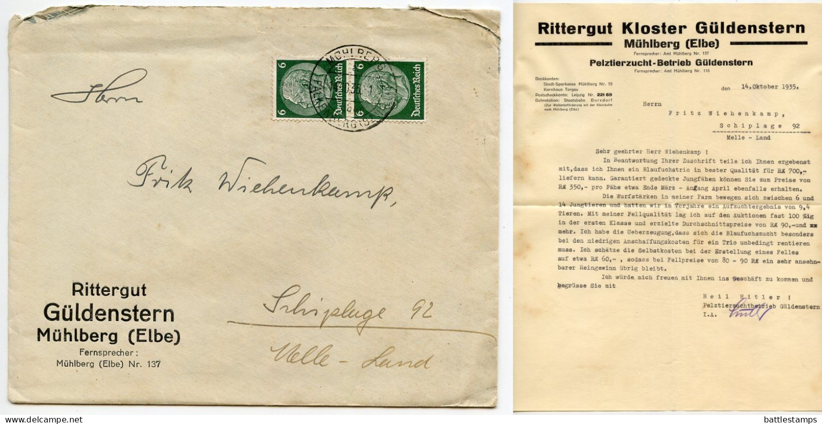 Germany 1936 Cover & Letter; Mühlberg, Falkenberg (Bz. Halle) - R. Güldenstern, Pelztierzucht-Betrieb; 6pf. Hindenburg - Cartas & Documentos