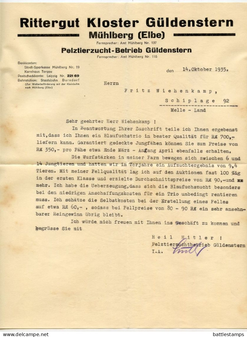 Germany 1936 Cover & Letter; Mühlberg, Falkenberg (Bz. Halle) - R. Güldenstern, Pelztierzucht-Betrieb; 6pf. Hindenburg - Brieven En Documenten