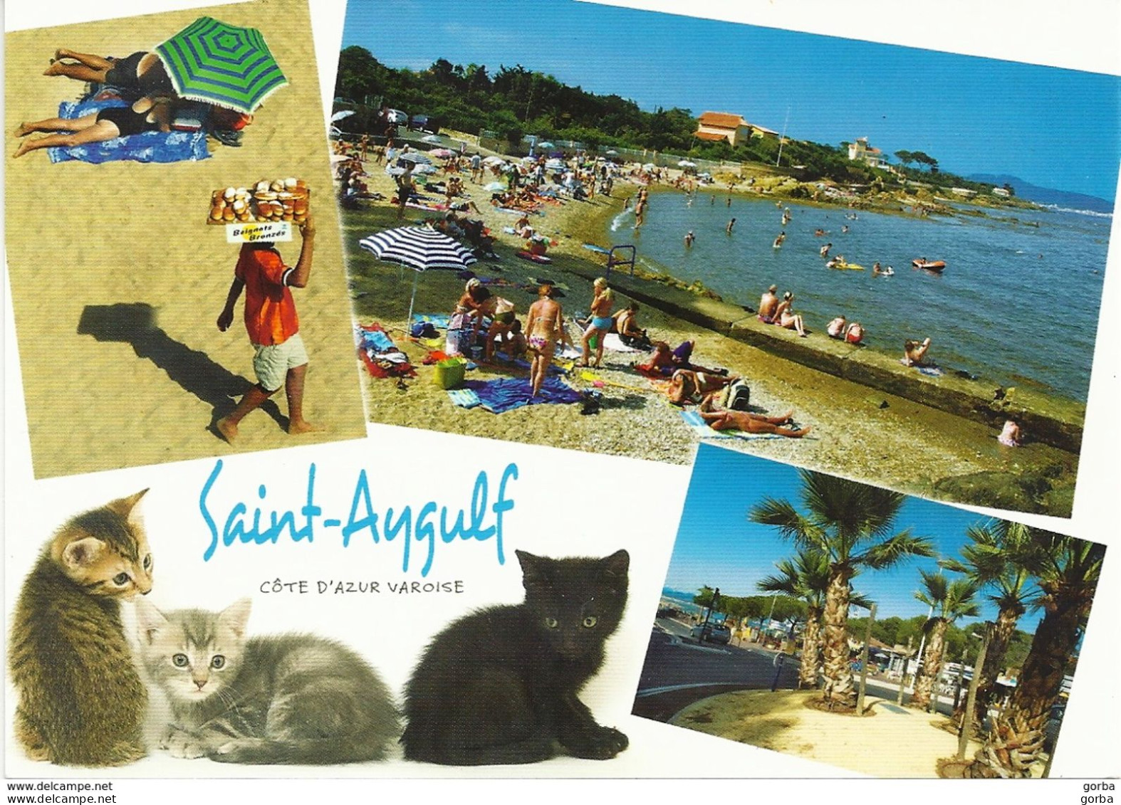 *CPM - 83 - SAINT AYGULF - Multivue - Chatons - Saint-Aygulf