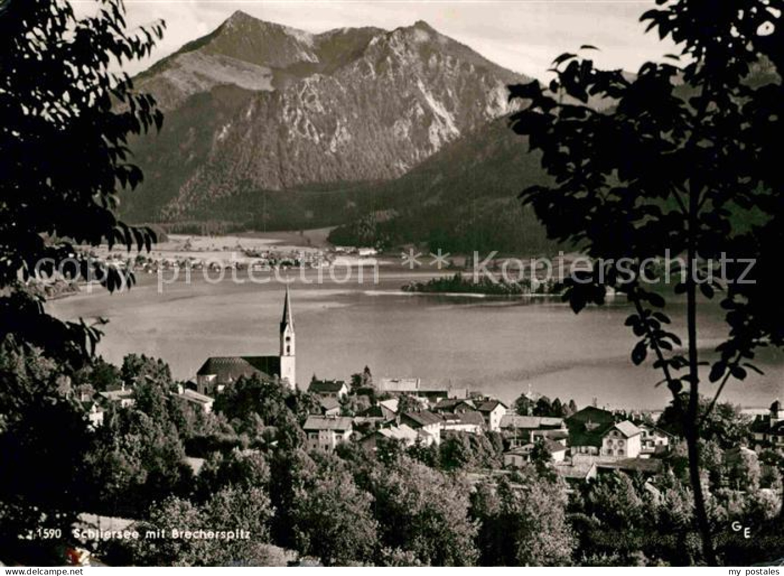 72896192 Schliersee Panorama Brecherspitz Schliersee - Schliersee