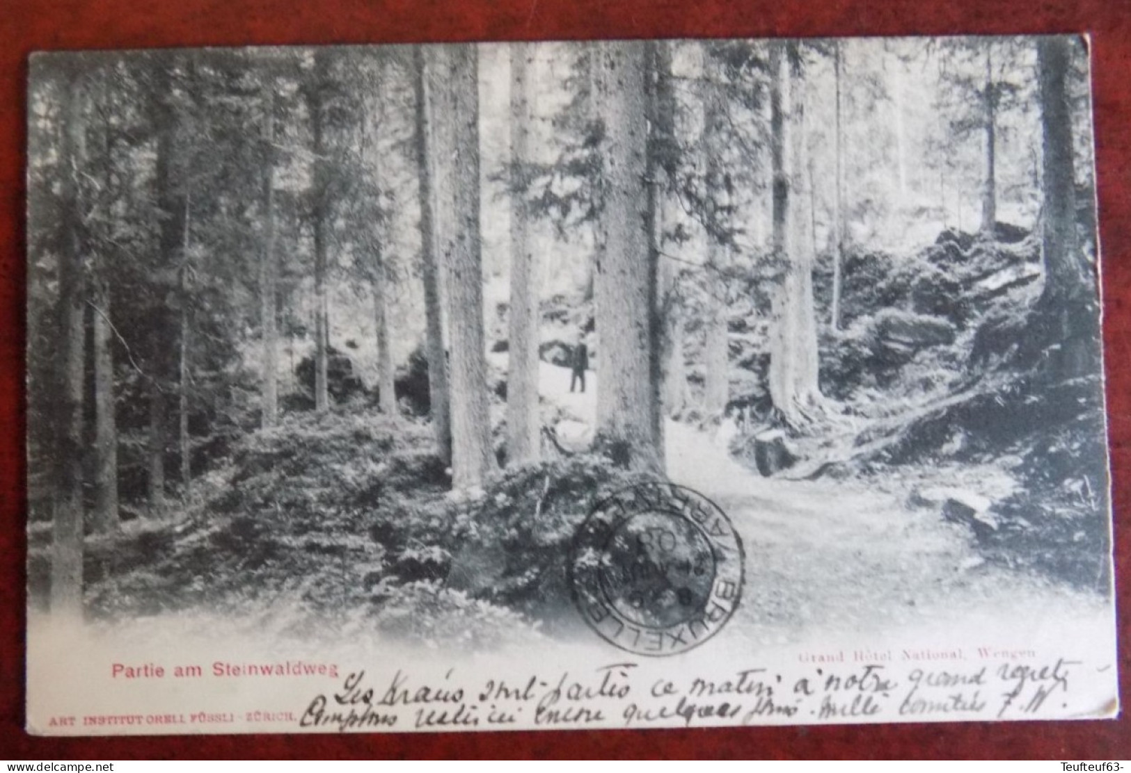 Cpa Partie Am Steinwaldweg - Sonstige & Ohne Zuordnung