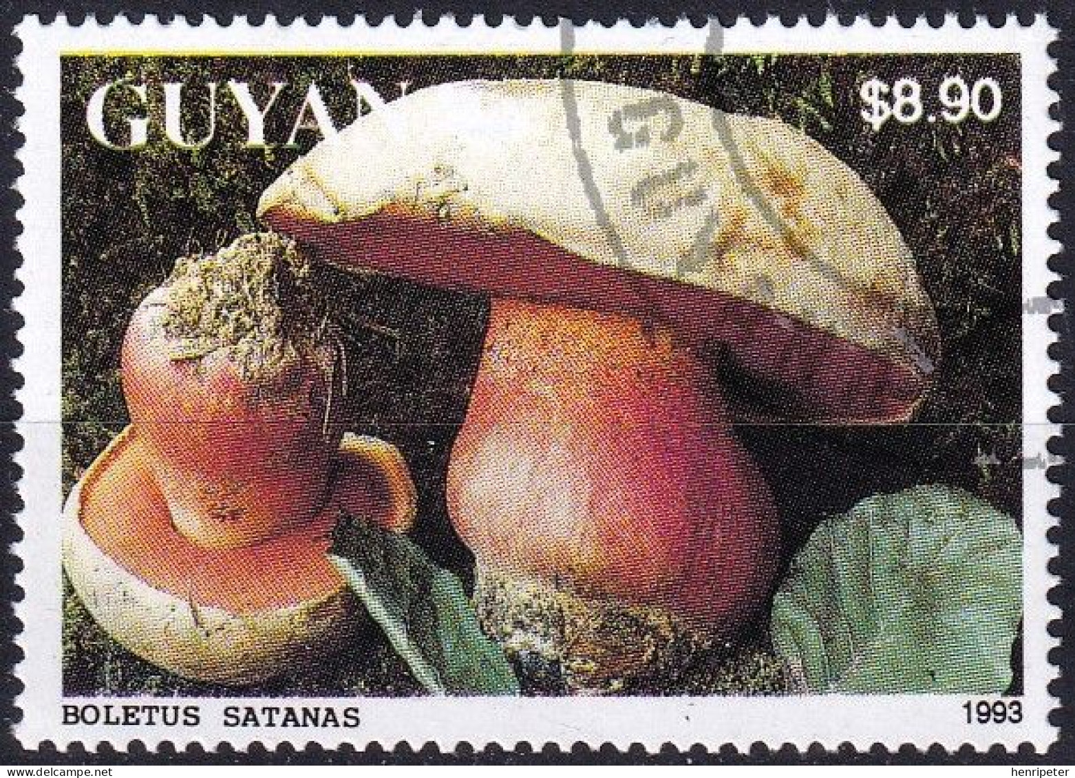 Timbre-poste Dentelé Oblitéré - Champignons Bolet Satan Boletus Satanas - N° 4137 (Michel) - Guyana 1993 - Guyana (1966-...)