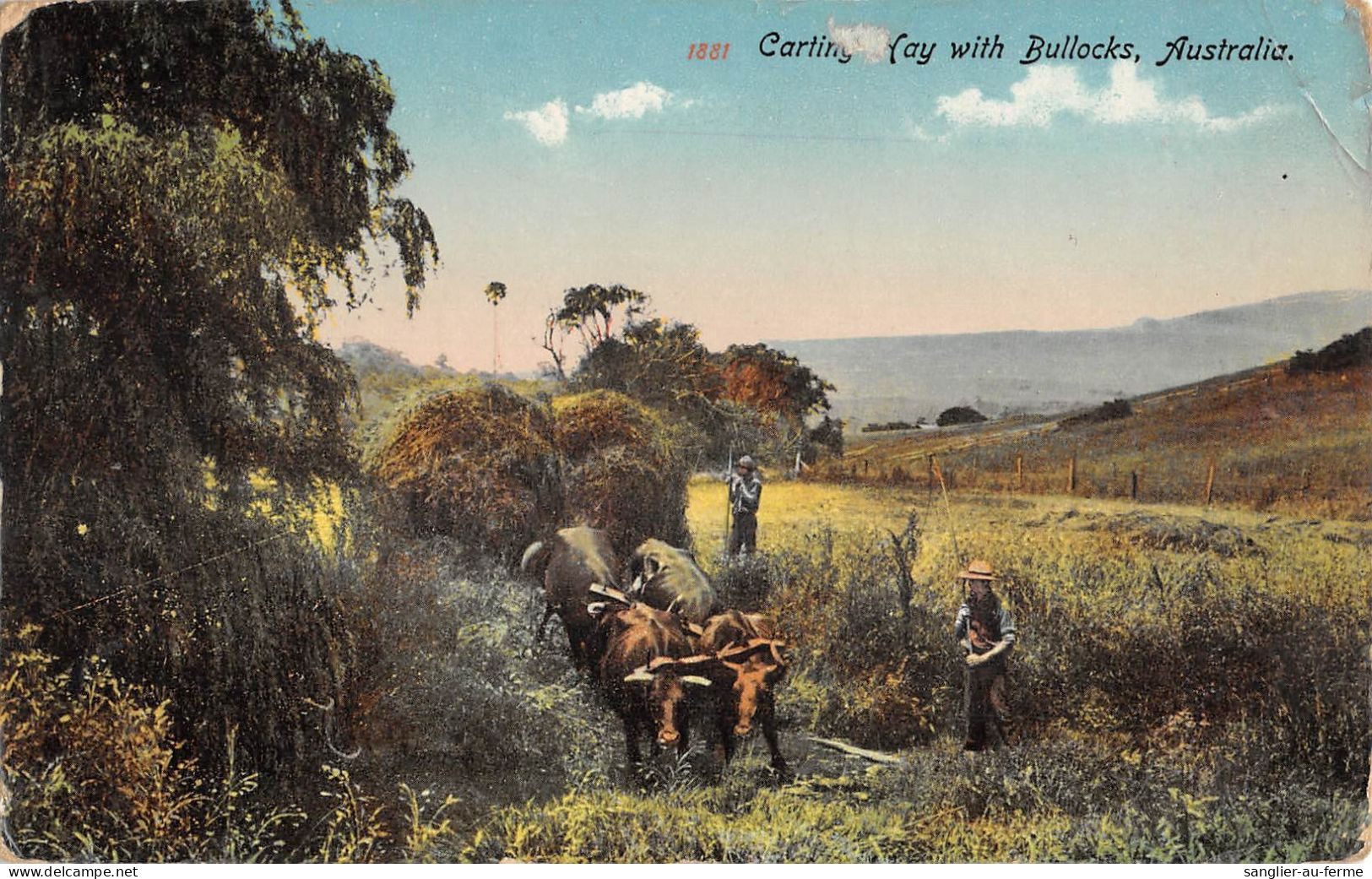 CPA AUSTRALIE / CARTNG WAY WITH BULLOCKS / AUSTRALIA - Autres & Non Classés